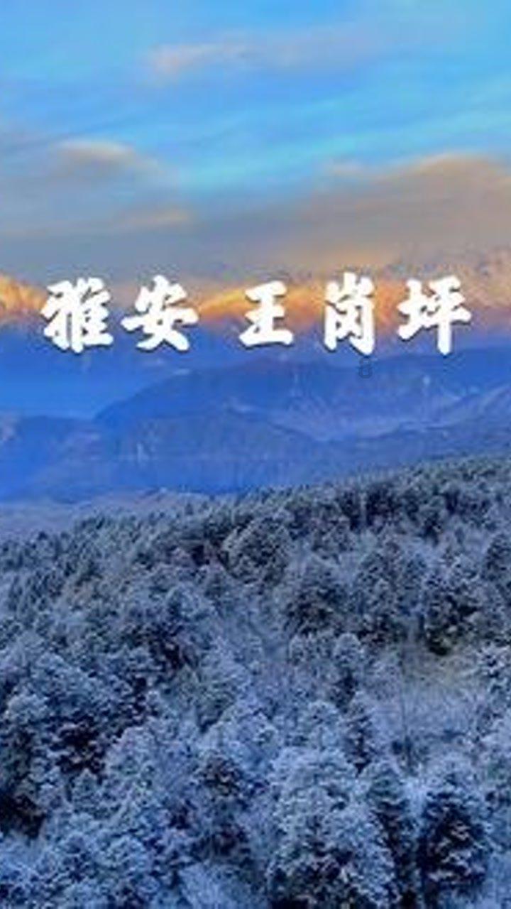 登泰山起点是遥参亭?八成的人不知道在哪儿